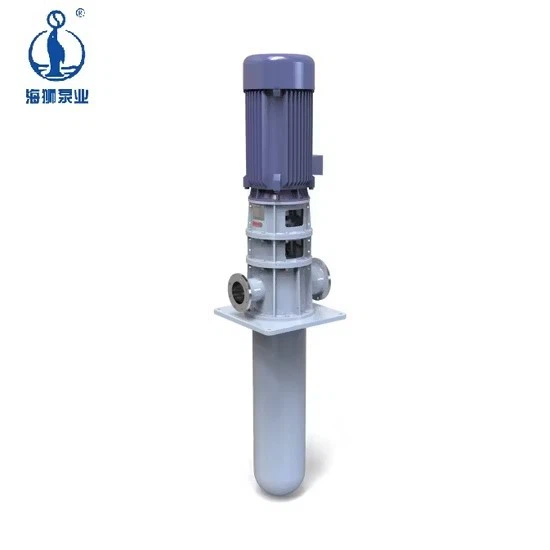 High Quality Verticaljoint Surface Vertical Haishi Sewage Centrifugal Water Vs6 Turbine Pump high quality