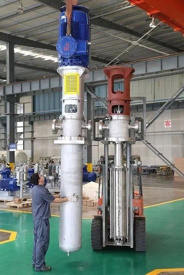High Quality Verticaljoint Surface Vertical Haishi Sewage Centrifugal Water Vs6 Turbine Pump price