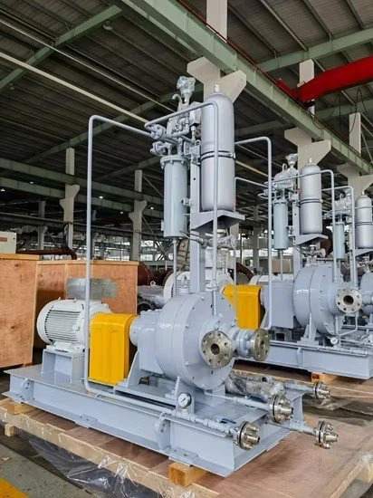 Paper Industry Petrochemical Mud Sand Irrigation Vertical Pitot Pump With High Quality price