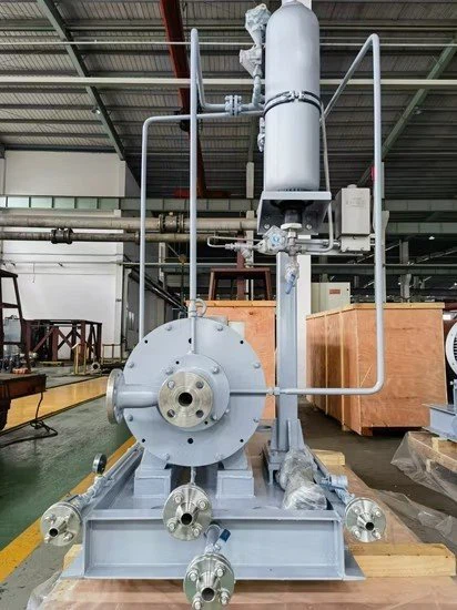 Paper Industry Petrochemical Mud Sand Irrigation Vertical Pitot Pump With High Quality price