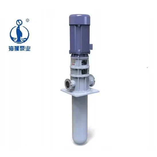Single Suction Haishi Centrifugal Water Slurry Vs5 Vertical Pump With Factory Price price Single Suction Haishi Centrifugal Water Slurry Vs5 Vertical Pump With Factory Price price